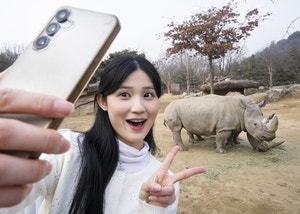 걸으면서 즐기는 사파리