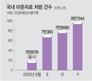 “비싸도 효과 좋은 주사가 좋아”… 마운자로, 위고비 넘었다