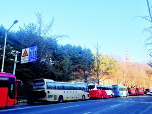 “번호판을 가려?” 남산도로 점령 유커 관광버스