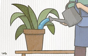 봄에 생긴 일[유희경의 시:선(詩:選)]