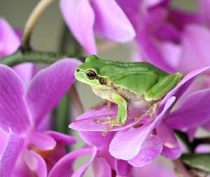 오늘밤 눈·비 내린 뒤 기온 뚝… 꽃샘추위 온다