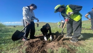 올 3600만 그루 심기…‘그린 파워’로 산림재난·기후위기 맞선다