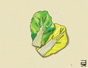 봄동[한성우 교수의 맛의 말, 말의 맛]