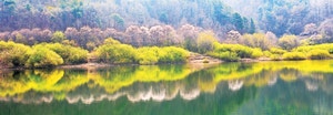 오지마을 호숫가에 켜진 ‘형광의 빛’… 차마 꿈엔들 잊힐리야[박경일기자의 여행]