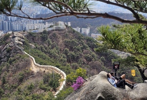 K데일리케이션에 푹 빠진 외국 관광객[도시풍경]