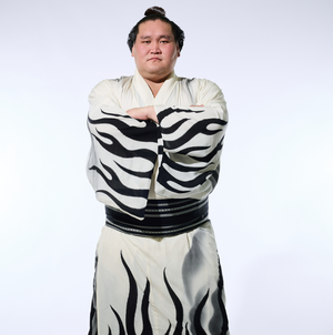 前스모 천하장사가 제자 폭행… 日 열도 들썩