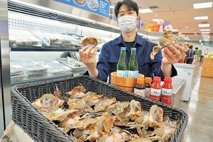 ‘알배기 암꽃게’ 할인