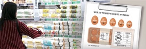 왕란·특란 → 2XL·XL… 계란 사이즈, 옷처럼 고른다