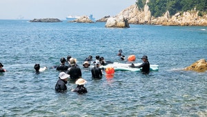 해녀 체험·이색 먹거리·크루즈… “웰컴 투 부산”
