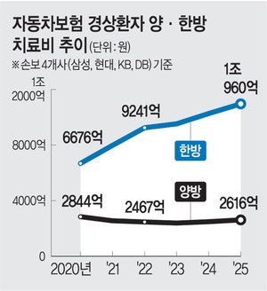 [이슈]“8주 이상 입원? 혹시 나이롱이신가요?”
