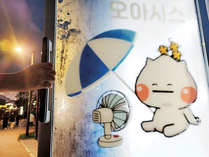 타인의 배려를 권리로 알면… ‘오아시스’는 마른다[포토 에세이]