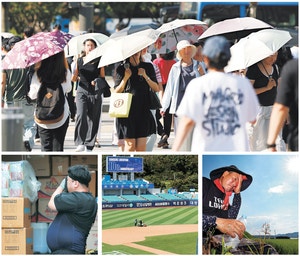 건설 멈추고, 물가 뛰고, 범죄 늘고… 폭염에 습격당한 ‘일상’