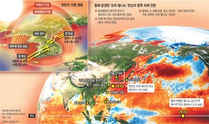 슈퍼엘니뇨가 부른 슈퍼폭염… 한반도 ‘40도 여름’ 뉴노멀됐다