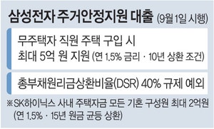 삼성전자, 내달 주택대출… 서울 ‘덜 똘똘한 한채’도 들썩