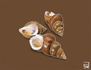 고동색[한성우 교수의 맛의 말, 말의 맛]