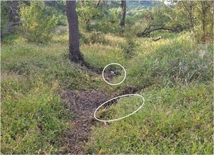 [속보]<b>DMZ</b> <b>폭발 사고</b> 현장 조사 중 플라스틱 <b>지뢰</b> 또 발견