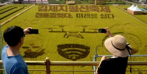 [속보]<b>김제지평선축제</b>서 김밥 먹은 313명 <b>식중독</b> 증상