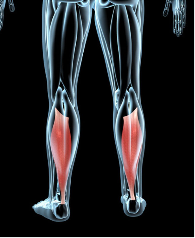 20221021512141_20221021163003700.png?typ