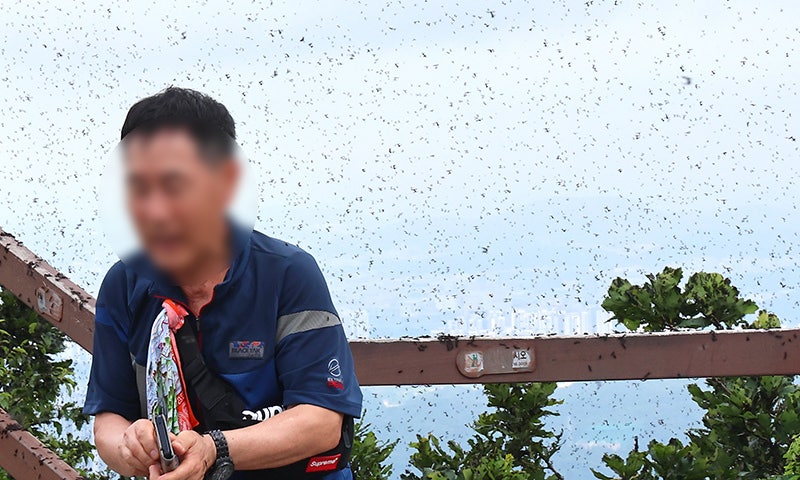 '<b>러브버그</b> 대란'에 환경부도 출동…계양산 일대 전면 <b>방제</b> 나서
