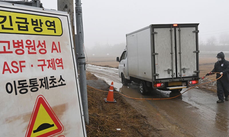 경기 파주서 <b>고병원성 AI 발생</b>…위기 경보 '주의' 상향