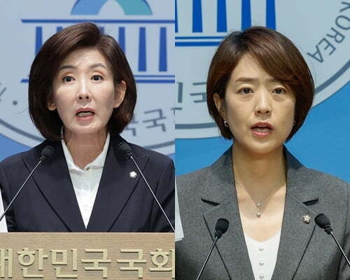 나경원 “<b>국정자원 화재</b>로 中무비자 입국 미뤄야” vs 고민정 “외국인...