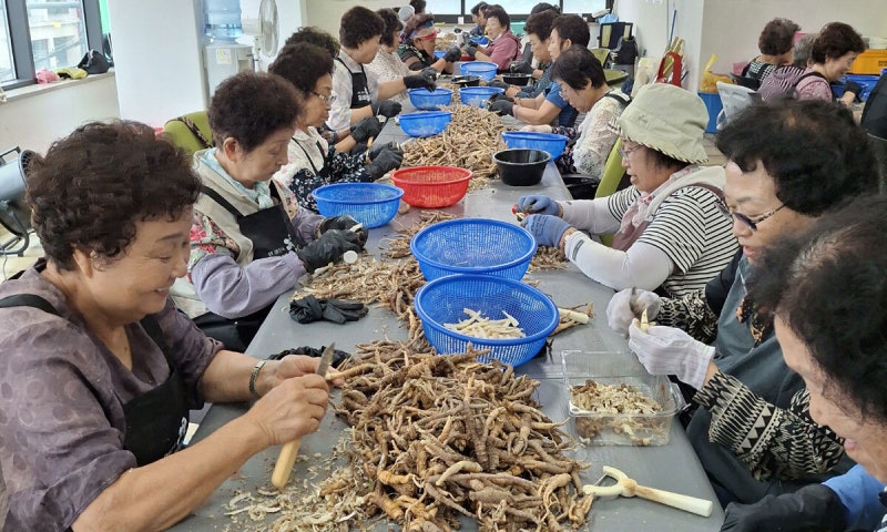 ‘일하는 밥퍼’로 <b>노인</b> 고용·<b>복지</b> 해결… 충북 지역경제에 ‘활력’ ...