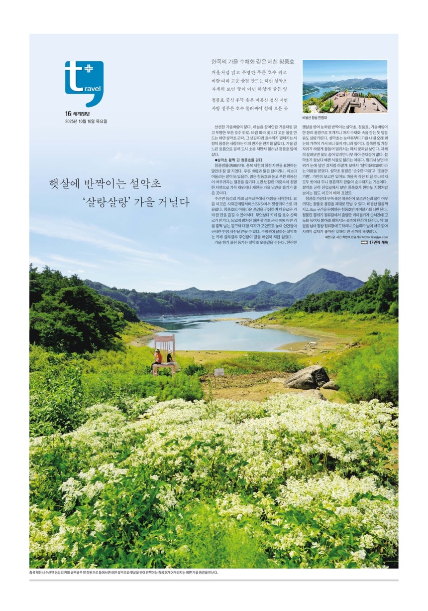 솔레어 카지노 정캣 에서 마주치는 도전과 극복 방법 - 장단점 비교 분석