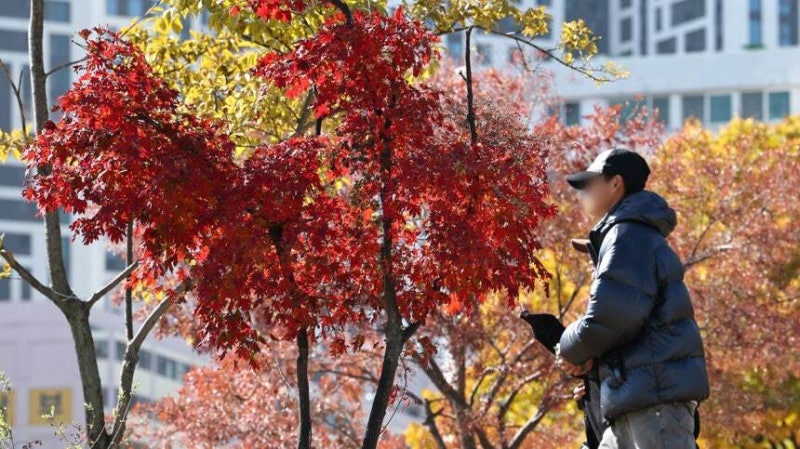 [속보] <b>서울</b> 동북·서남권 올가을 <b>첫 한파주의보</b>…市 24시간 상황관리