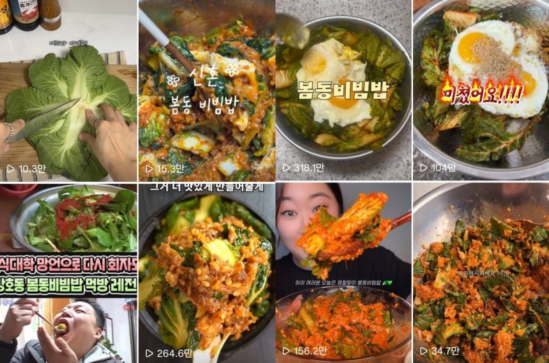 봄동비빔밥, 봄철 건강 식탁의 대안