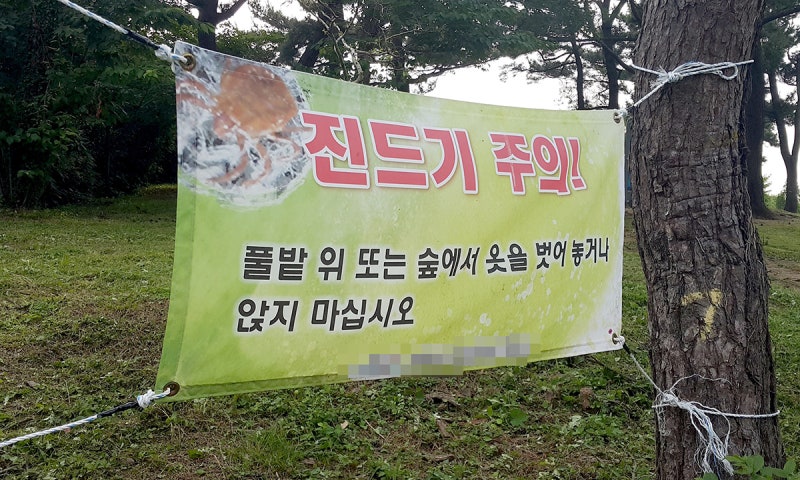 <b>전남광주통합특별시</b>, 2026년 첫 ‘살인진드기’ SFTS 환자 발생… 방역 ...
