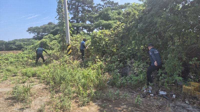 <b>제주 실종</b> 신고 <b>허위 종결</b>한 경찰관 판박이 처리…60대 시신 발견