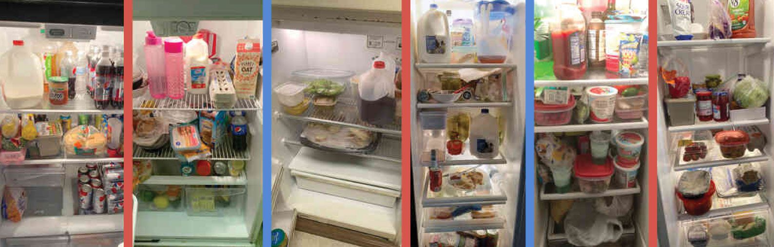 이 냉장고 주인은 누구를 지지할까요?