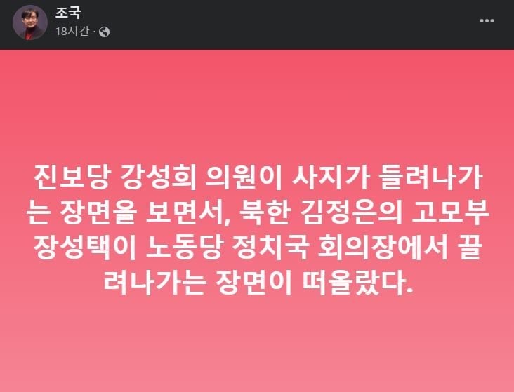 조국 “<b>강성희</b> 끌려나가는 장면, 北 장성택 떠올라”