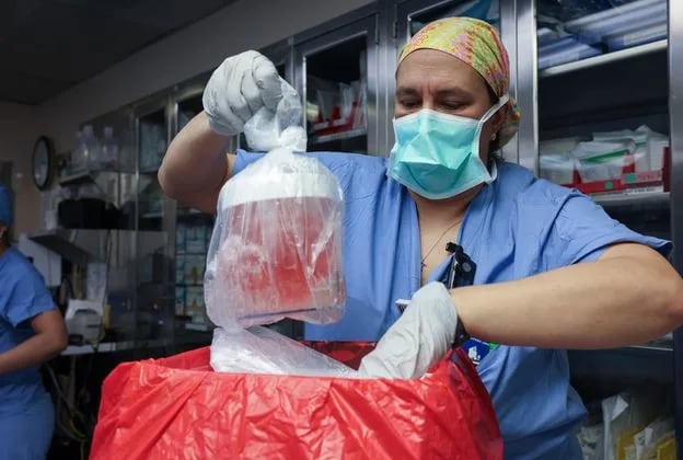 A nurse from Massachusetts General Hospital transplanting a pig kidney to a patient on March 16. The kidney underwent a genetic modification process to minimize immune rejection. /Massachusetts General Hospital