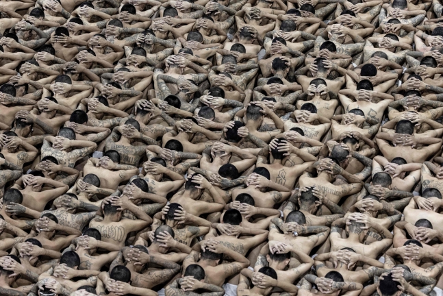 지난 11일(현지시간) 엘살바도르 대통령실에서 공개한 사진. 웃옷을 벗은 수감자들이 머리에 손깍지를 낀 채 테러범수용센터 바닥에 앉아 있다. /AFP 연합뉴스