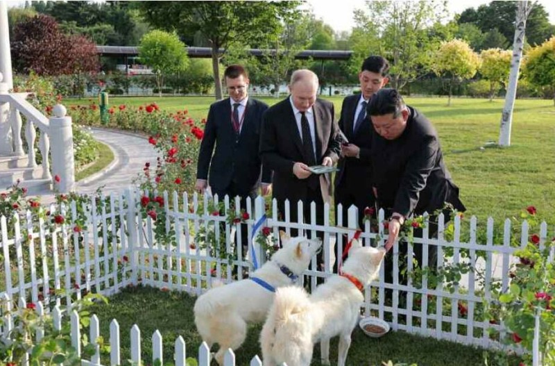 김정은이 선물한 풍산개 두 마리, <b>푸틴</b> 관저서 지내