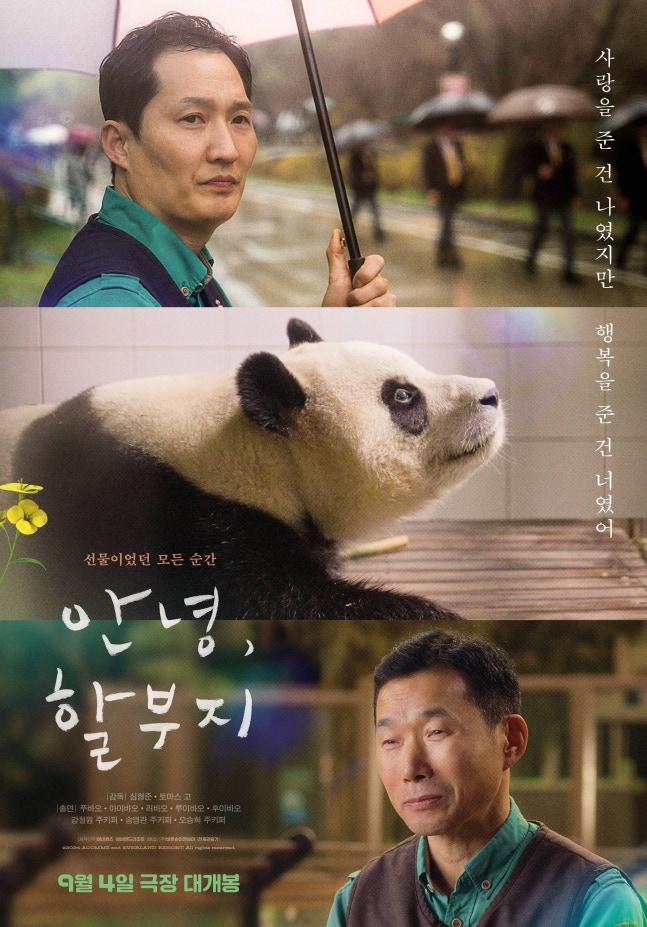 Panda Poobao, the baby panda, starring in the documentary film ‘Hello, Farewell’. Everland announced that this film will be released on the 4th of next month. / Everland