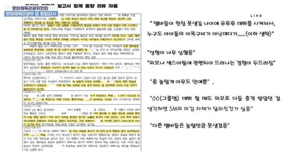 24일 국회 문화체육관광위원회 국정감사에서 공개된 하이브 내부 문건. /국회방송