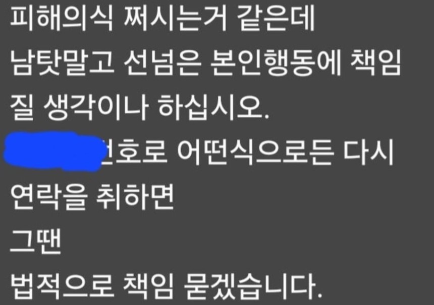 B씨가 보낸 답장 일부. /온라인 커뮤니티