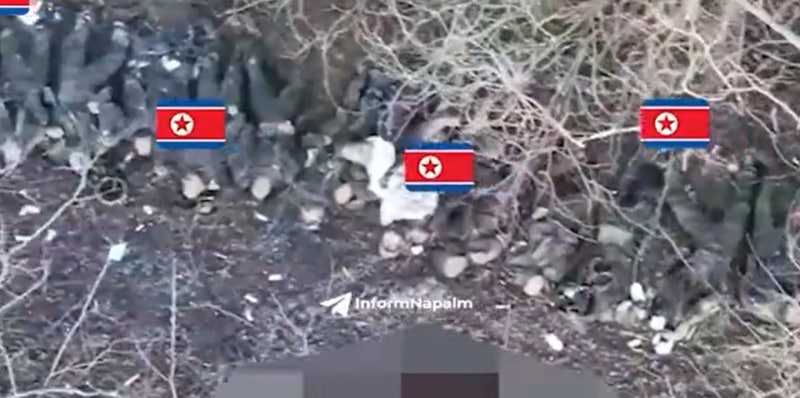 전사한 <b>북한군</b>, 들판에 나란히... “러군보다 앞세워 대포밥 신세”