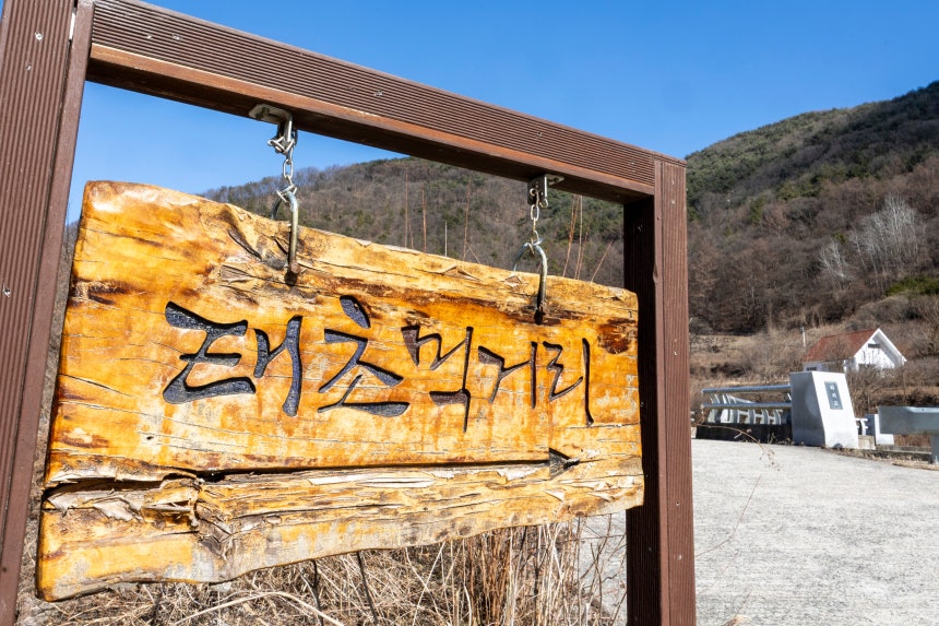 표지판을 따라 언덕을 오르면 학교가 보인다. 근처에는 이계호 교수가 일군 2000평에 달하는 아로니아밭이 있다. "분석을 해보니 제멋대로 자라 못생긴 아로니아가 오히려 항산화 물질이 더 많았다. 하지만 시장 가치는 
