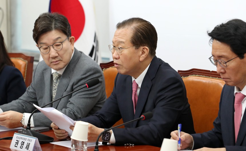 권영세 비상대책위원장