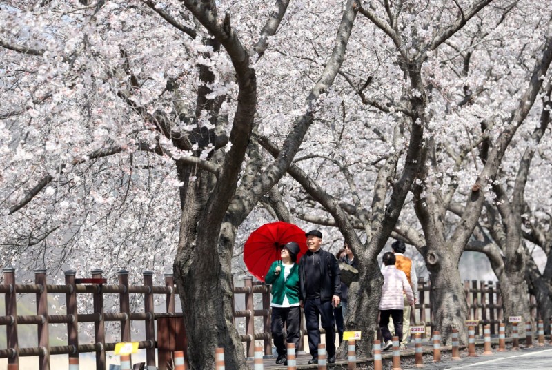 주말 태풍급 비바람... 체감기온 영하로 떨어진다
