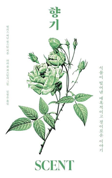 하얀색 꽃은 거의 밤에 피어난다는 사실을 아시나요