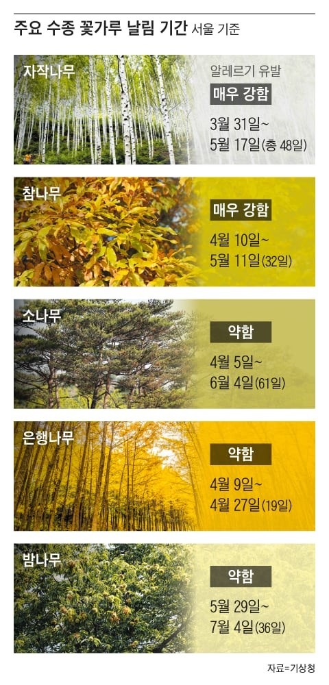 온난화로 빨라진 봄, 꽃가루도 16일 빨리 왔다