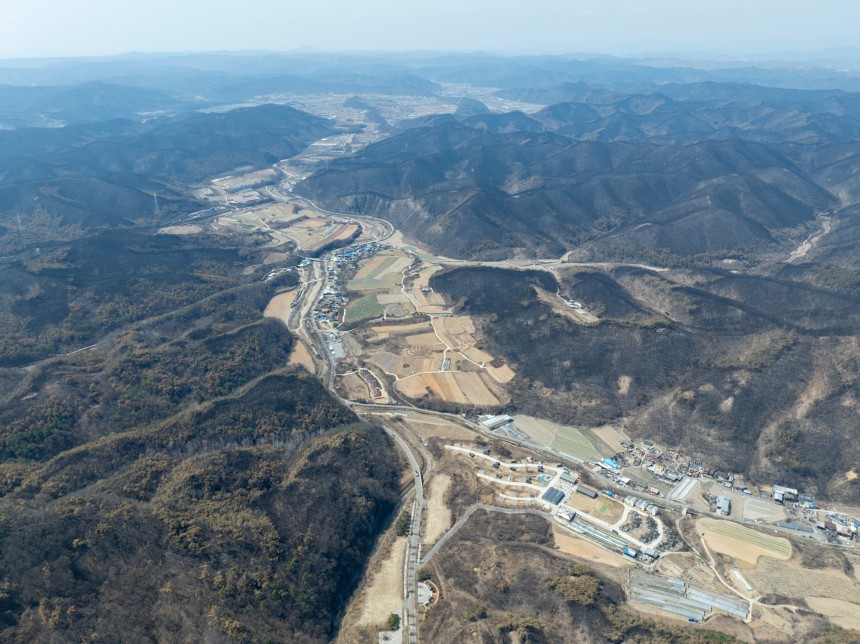 지난달 2일 경북 의성군 일대가 산불로 검게 그을려 있다./김지호 기자