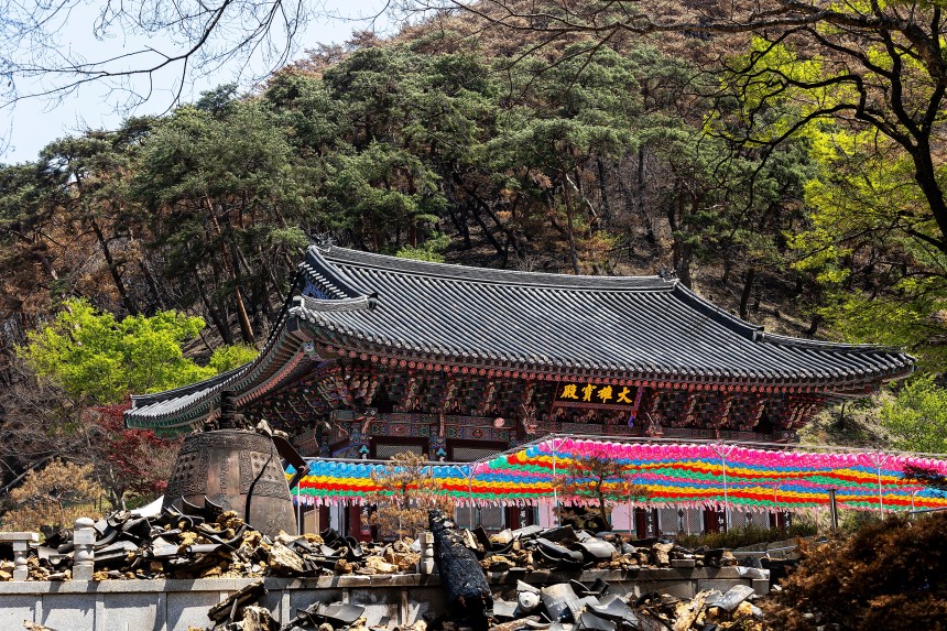 지난 23일 찾은 '고운사' 경내엔 전소된 '가운루' 등 전각이 돌무더기가 되어 쌓여있었다.화마에 깨진 범종 뒤쪽 대웅보전 앞엔 새 연등이 걸려있다./ 양수열 영상미디어 기자