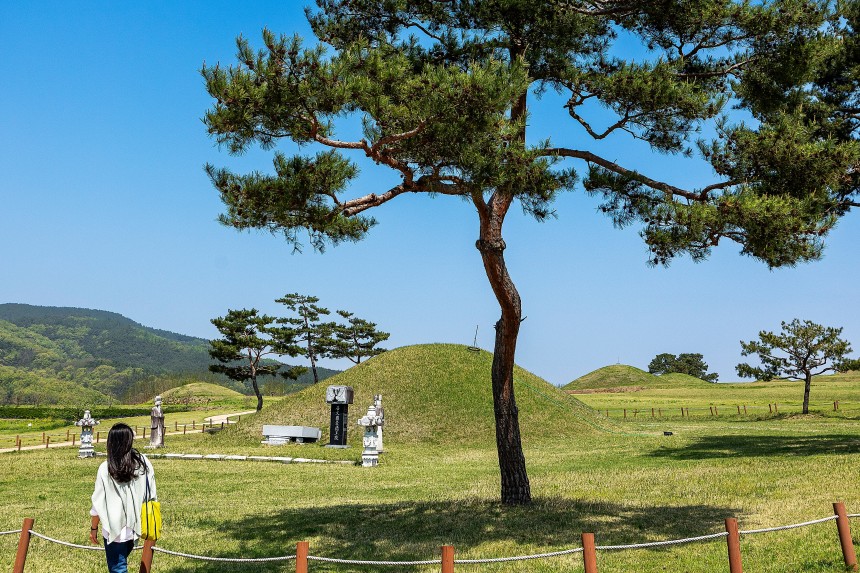 금성면 고분군은 의성이 삼한시대 때 '조문국'이었음을 알리는 사적지다.경덕왕릉&lt;사진&gt; 등 고분 370여 기가 산재해있다./ 양수열 영상미디어 기자