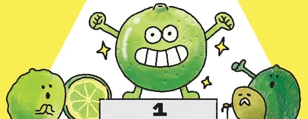 [리빙포인트] 라임 고르는 요령