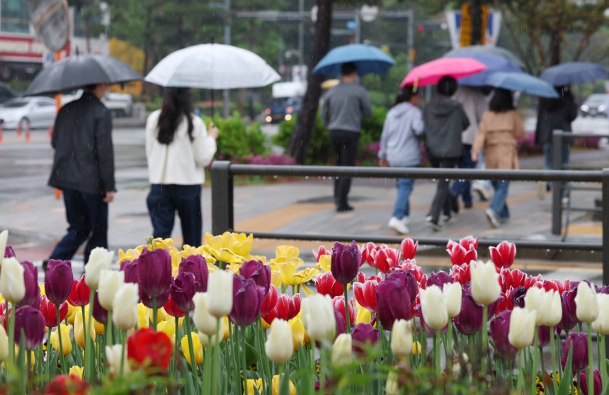 봄비가 내린 지난달 22일 오후 경기 수원시의 한 거리에서 시민들이 우산을 쓰고 지나가고 있다./뉴스1